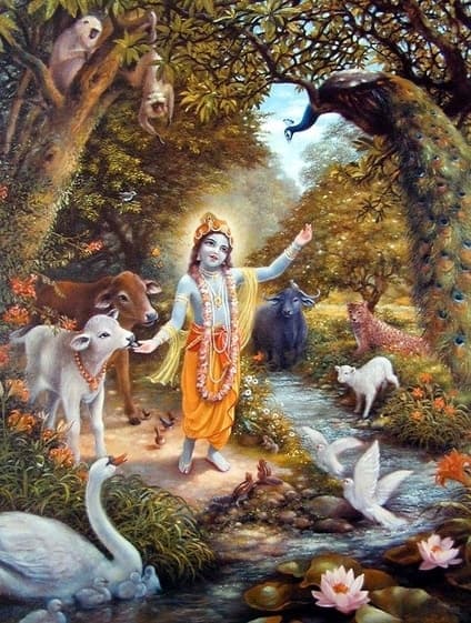 Animals attracted towards Krishna