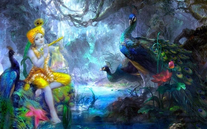 Krishna with peacocks