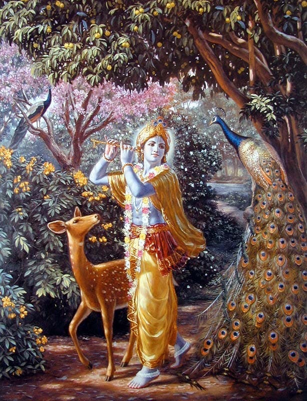 Animals attracted towards Krishna